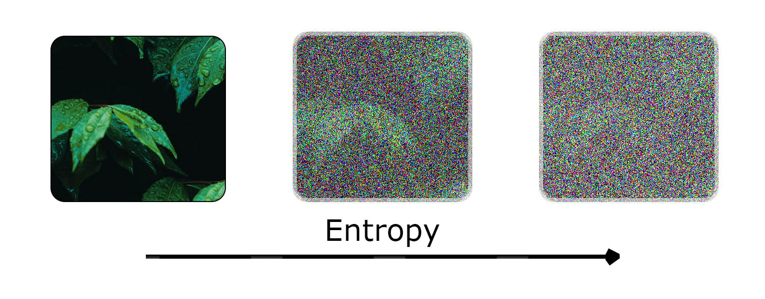 Entropy as an Image